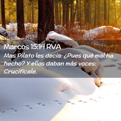 Picture 02 - Marcos 15:14 RVA - Mas Pilato les decía: ¿Pues qué mal ha hecho? - Bible Verse Picture