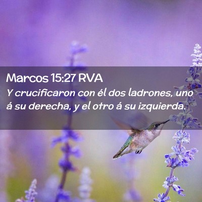 Picture 02 - Marcos 15:27 RVA - Y crucificaron con él dos ladrones, uno á su - Bible Verse Picture