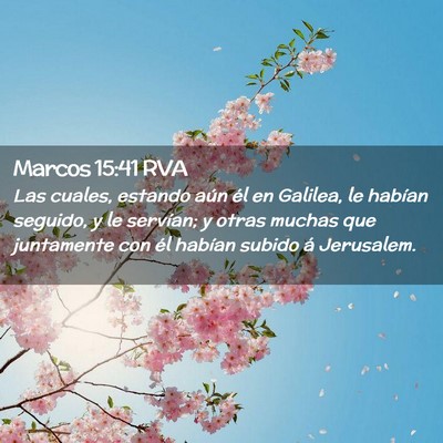 Picture 02 - Marcos 15:41 RVA - Las cuales, estando aún él en Galilea, le - Bible Verse Picture