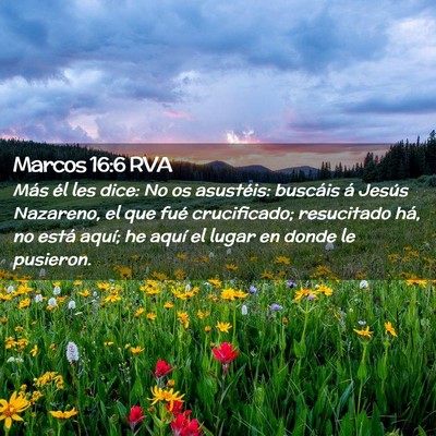 Picture 02 - Marcos 16:6 RVA - Más él les dice: No os asustéis: buscáis á - Bible Verse Picture