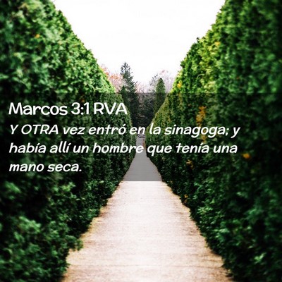 Picture 02 - Marcos 3:1 RVA - Y OTRA vez entró en la sinagoga; y había allí - Bible Verse Picture