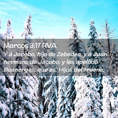 Picture 02 - Marcos 3:17 RVA - Y á Jacobo, hijo de Zebedeo, y á Juan hermano - Bible Verse Picture
