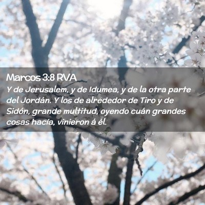 Picture 02 - Marcos 3:8 RVA - Y de Jerusalem, y de Idumea, y de la otra parte - Bible Verse Picture
