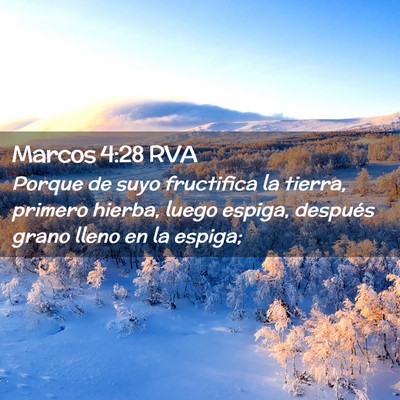 Picture 02 - Marcos 4:28 RVA - Porque de suyo fructifica la tierra, primero - Bible Verse Picture