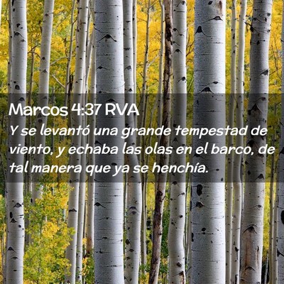 Picture 02 - Marcos 4:37 RVA - Y se levantó una grande tempestad de viento, y - Bible Verse Picture