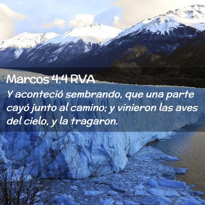 Picture 02 - Marcos 4:4 RVA - Y aconteció sembrando, que una parte cayó junto - Bible Verse Picture