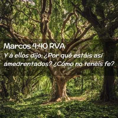 Picture 02 - Marcos 4:40 RVA - Y á ellos dijo: ¿Por qué estáis así - Bible Verse Picture