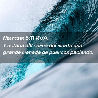 Picture 02 - Marcos 5:11 RVA - Y estaba allí cerca del monte una grande manada - Bible Verse Picture