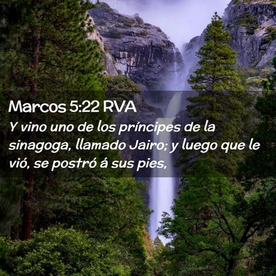 Picture 02 - Marcos 5:22 RVA - Y vino uno de los príncipes de la sinagoga, - Bible Verse Picture