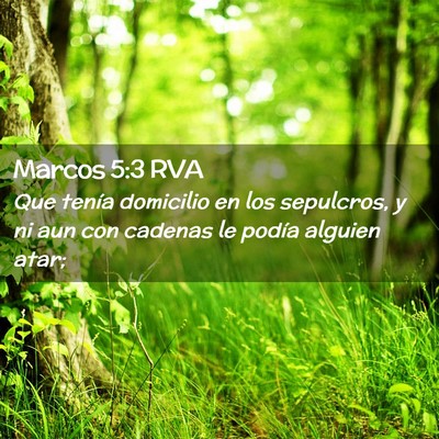 Picture 02 - Marcos 5:3 RVA - Que tenía domicilio en los sepulcros, y ni aun - Bible Verse Picture