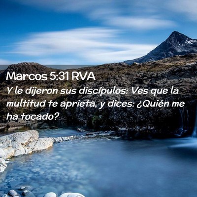 Picture 02 - Marcos 5:31 RVA - Y le dijeron sus discípulos: Ves que la multitud - Bible Verse Picture