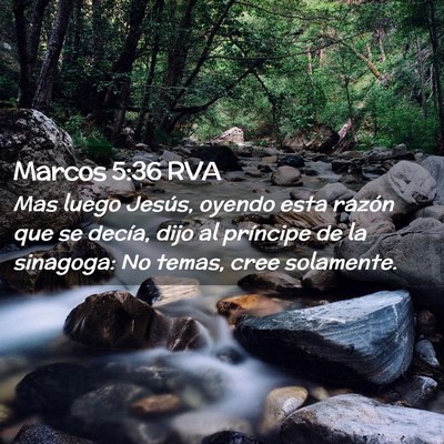 Picture 02 - Marcos 5:36 RVA - Mas luego Jesús, oyendo esta razón que se - Bible Verse Picture