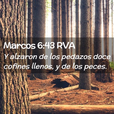 Picture 02 - Marcos 6:43 RVA - Y alzaron de los pedazos doce cofines llenos, y - Bible Verse Picture