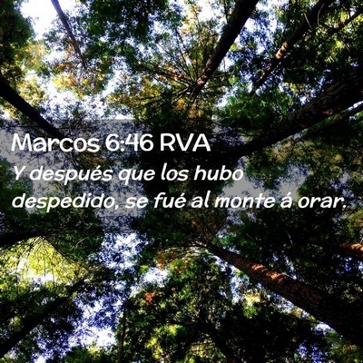 Picture 02 - Marcos 6:46 RVA - Y después que los hubo despedido, se fué al - Bible Verse Picture