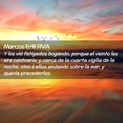 Picture 02 - Marcos 6:48 RVA - Y los vió fatigados bogando, porque el viento - Bible Verse Picture