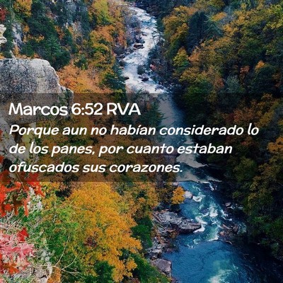 Picture 02 - Marcos 6:52 RVA - Porque aun no habían considerado lo de los - Bible Verse Picture