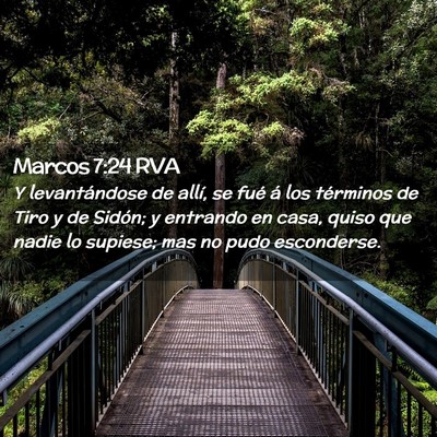 Picture 02 - Marcos 7:24 RVA - Y levantándose de allí, se fué á los - Bible Verse Picture