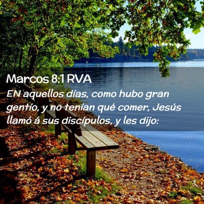 Picture 02 - Marcos 8:1 RVA - EN aquellos días, como hubo gran gentío, y no - Bible Verse Picture