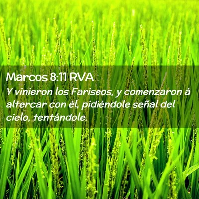 Picture 02 - Marcos 8:11 RVA - Y vinieron los Fariseos, y comenzaron á altercar - Bible Verse Picture