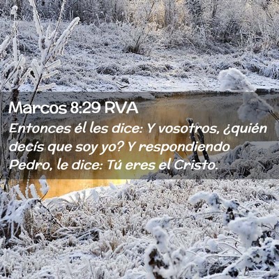 Picture 02 - Marcos 8:29 RVA - Entonces él les dice: Y vosotros, ¿quién - Bible Verse Picture
