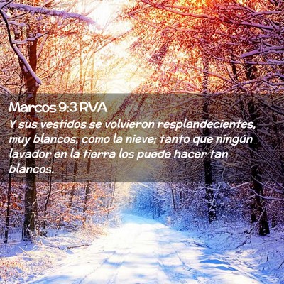 Picture 02 - Marcos 9:3 RVA - Y sus vestidos se volvieron resplandecientes, muy - Bible Verse Picture