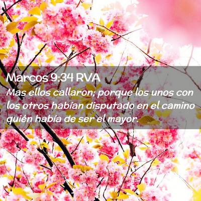 Picture 02 - Marcos 9:34 RVA - Mas ellos callaron; porque los unos con los otros - Bible Verse Picture