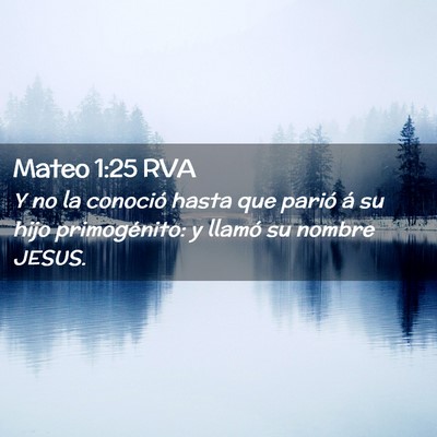 Picture 02 - Mateo 1:25 RVA - Y no la conoció hasta que parió á su hijo - Bible Verse Picture