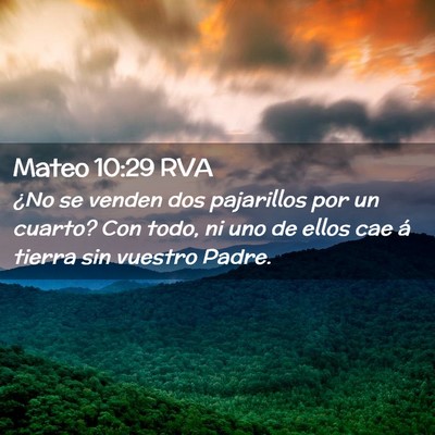 Picture 02 - Mateo 10:29 RVA - ¿No se venden dos pajarillos por un cuarto? Con - Bible Verse Picture