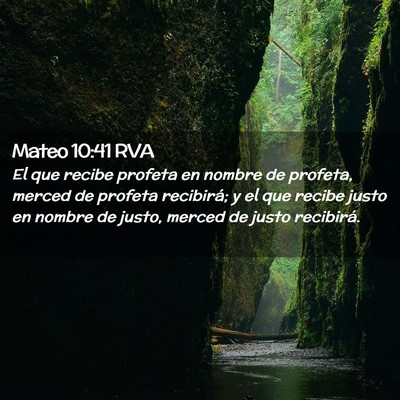 Picture 02 - Mateo 10:41 RVA - El que recibe profeta en nombre de profeta, - Bible Verse Picture