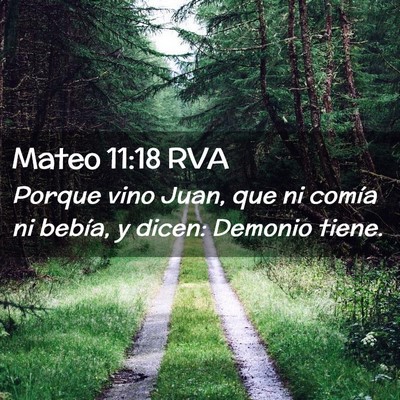 Picture 02 - Mateo 11:18 RVA - Porque vino Juan, que ni comía ni bebía, y - Bible Verse Picture