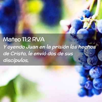 Picture 02 - Mateo 11:2 RVA - Y oyendo Juan en la prisión los hechos de - Bible Verse Picture