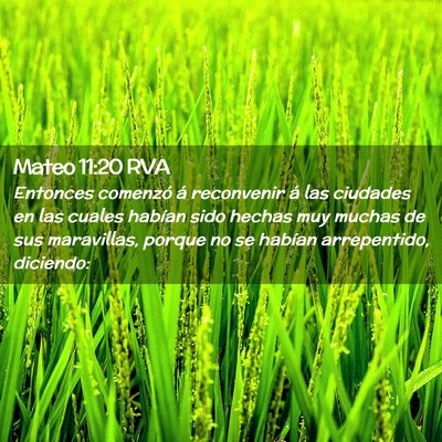 Picture 02 - Mateo 11:20 RVA - Entonces comenzó á reconvenir á las ciudades - Bible Verse Picture