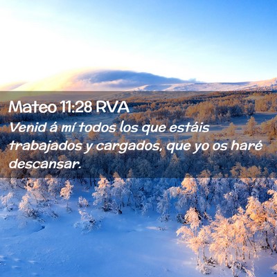 Picture 02 - Mateo 11:28 RVA - Venid á mí todos los que estáis trabajados y - Bible Verse Picture