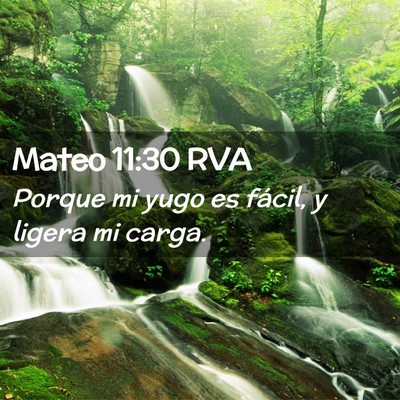 Picture 02 - Mateo 11:30 RVA - Porque mi yugo es fácil, y ligera mi - Bible Verse Picture