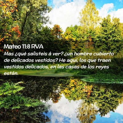 Picture 02 - Mateo 11:8 RVA - Mas ¿qué salisteis á ver? ¿un hombre cubierto - Bible Verse Picture