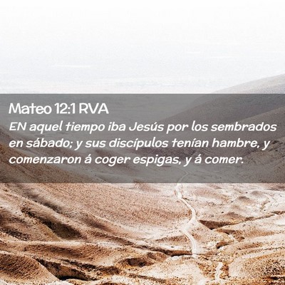 Picture 02 - Mateo 12:1 RVA - EN aquel tiempo iba Jesús por los sembrados en - Bible Verse Picture