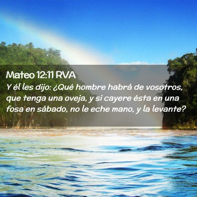 Picture 02 - Mateo 12:11 RVA - Y él les dijo: ¿Qué hombre habrá de vosotros, - Bible Verse Picture