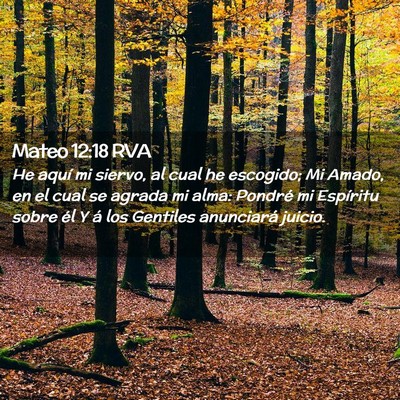Picture 02 - Mateo 12:18 RVA - He aquí mi siervo, al cual he escogido; Mi - Bible Verse Picture
