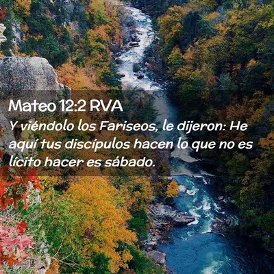 Picture 02 - Mateo 12:2 RVA - Y viéndolo los Fariseos, le dijeron: He aquí - Bible Verse Picture