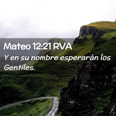 Picture 02 - Mateo 12:21 RVA - Y en su nombre esperarán los - Bible Verse Picture