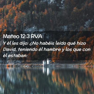 Picture 02 - Mateo 12:3 RVA - Y él les dijo: ¿No habéis leído qué hizo - Bible Verse Picture