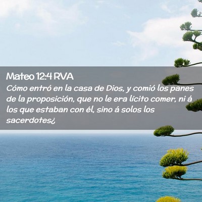 Picture 02 - Mateo 12:4 RVA - Cómo entró en la casa de Dios, y comió los - Bible Verse Picture