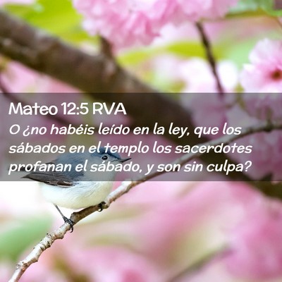 Picture 02 - Mateo 12:5 RVA - O ¿no habéis leído en la ley, que los sábados - Bible Verse Picture
