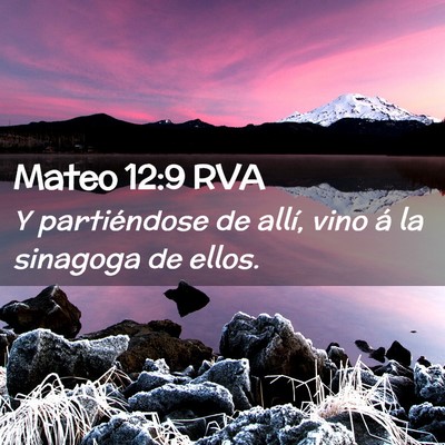 Picture 02 - Mateo 12:9 RVA - Y partiéndose de allí, vino á la sinagoga de - Bible Verse Picture