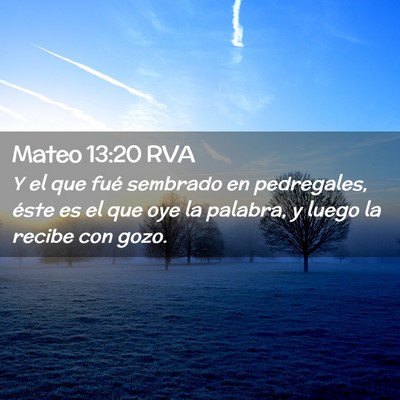 Picture 02 - Mateo 13:20 RVA - Y el que fué sembrado en pedregales, éste es el - Bible Verse Picture