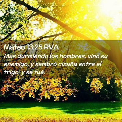 Picture 02 - Mateo 13:25 RVA - Mas durmiendo los hombres, vino su enemigo, y - Bible Verse Picture