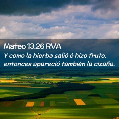 Picture 02 - Mateo 13:26 RVA - Y como la hierba salió é hizo fruto, entonces - Bible Verse Picture
