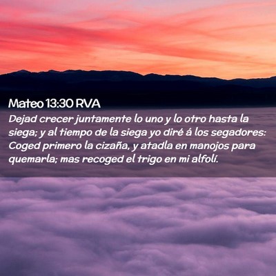 Picture 02 - Mateo 13:30 RVA - Dejad crecer juntamente lo uno y lo otro hasta la - Bible Verse Picture