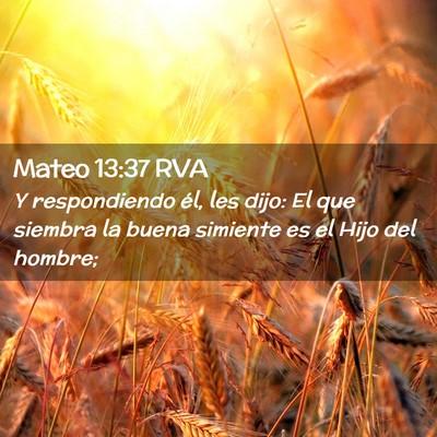 Picture 02 - Mateo 13:37 RVA - Y respondiendo él, les dijo: El que siembra la - Bible Verse Picture