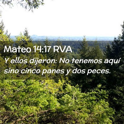 Picture 02 - Mateo 14:17 RVA - Y ellos dijeron: No tenemos aquí sino cinco - Bible Verse Picture
